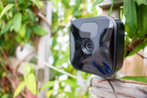 Blink Outdoor in einer Hecke