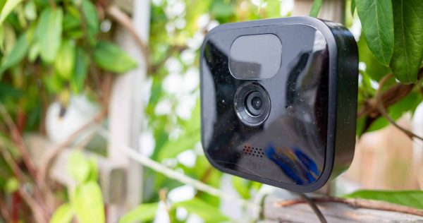 Blink Outdoor in einer Hecke